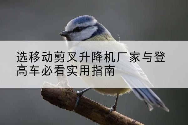 九龙电动升降机厂家-选移动剪叉升降机厂家与登高车必看实用指南
