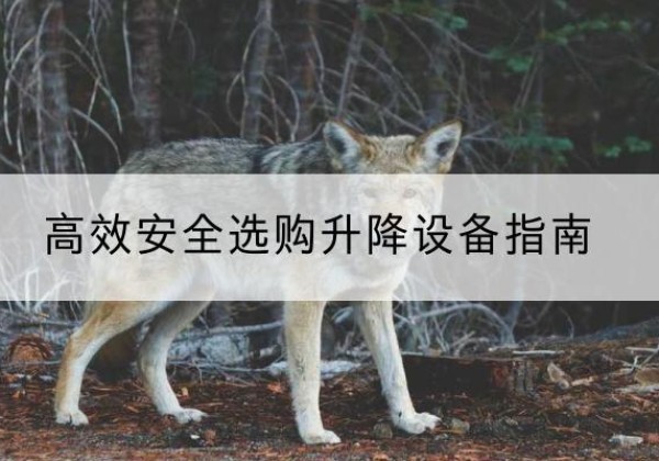 九龙升降货梯厂家推荐-*安全选购升降设备指南