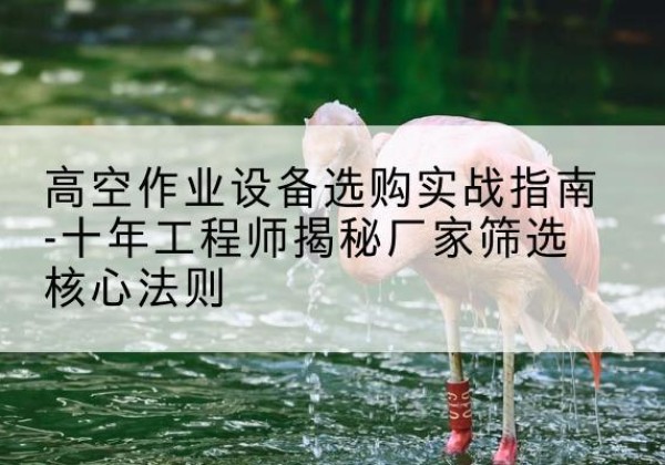 九龙剪叉式升降机厂家-高空作业设备选购实战指南-十年工程师揭秘厂家筛选核心法则